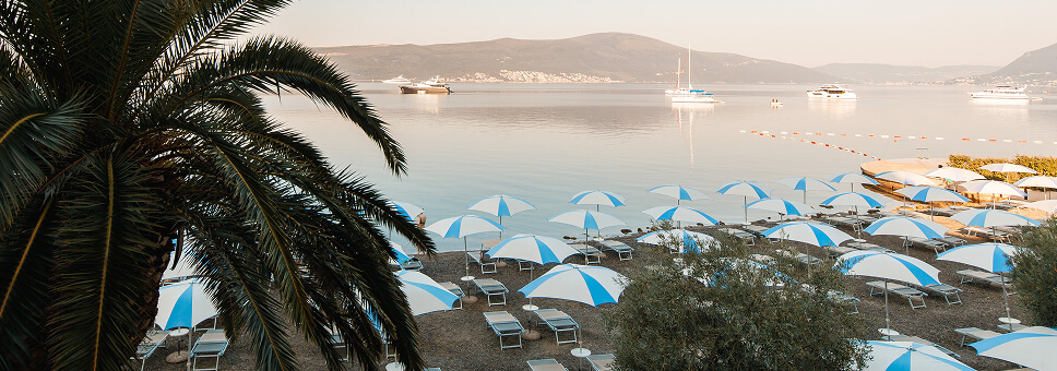 Beach with sunbeds and palma