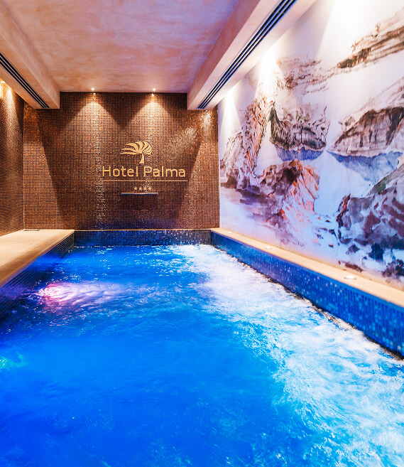 Wellness spa with pool